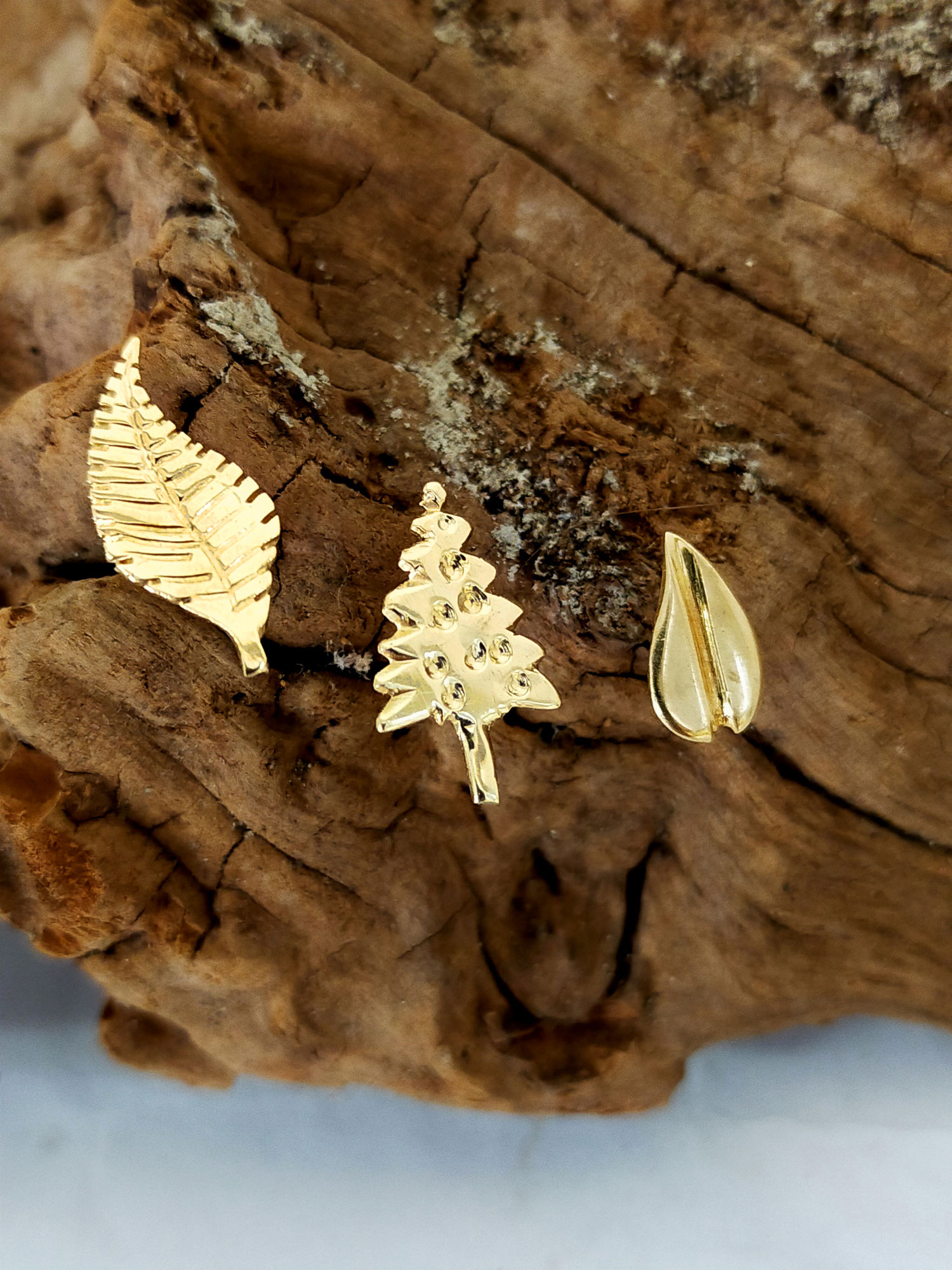 Gouden oorstekers natuur